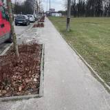 Zalegające liście i śmieci w rabatach pod drzewami Tychy ul. Dąbrowskiego<span class="fix-status status-2">Przyjęte</span>