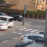 przepełnione śmietniki <span class="fix-status status-3">Ukończony</span>