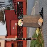 Przepełniony kosz na śmieci <span class="fix-status status-3">Ukończony</span>