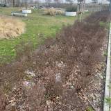 Liście i śmieci w kolejnej niepraktycznej rabacie ul.  Nałkowskiej<span class="fix-status status-2">Przyjęte</span>