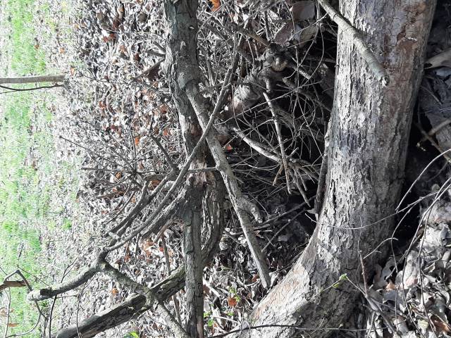 Brak włazu na studzience