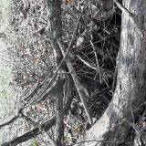 Brak włazu na studzience<span class="fix-status status-3">Ukończony</span>