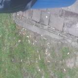 Zaśmiecony przystanek<span class="fix-status status-3">Ukończony</span>