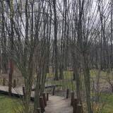 Zniszczona górna część zieleni<span class="fix-status status-3">Ukończony</span>