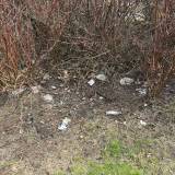 Śmieci <span class="fix-status status-2">Przyjęte</span>