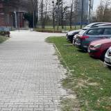 Zarastający chodnik Tychy ul. Darwina<span class="fix-status status-2">Przyjęte</span>