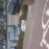 Śmieci w rabatach Dmowskiego<span class="fix-status status-2">Przyjęte</span>