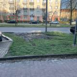 Zniszczony przez samochody pas zieleni przy al. Bielskiej<span class="fix-status status-2">Przyjęte</span>