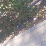 Śmieci w zieleni na przystanku <span class="fix-status status-2">Przyjęte</span>