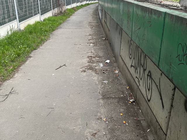 Pełno drobnych śmieci na chodniku przy dk1 (od wysokości Straży Pożarnej w stronę stacji benzynowej)