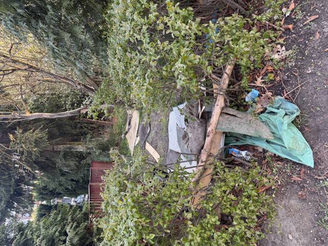 Śmieci w pozostałościach po ogródku przy bloku
