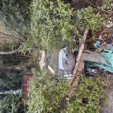 Śmieci w pozostałościach po ogródku przy bloku<span class="fix-status status-6">Poza uprawnieniami</span>