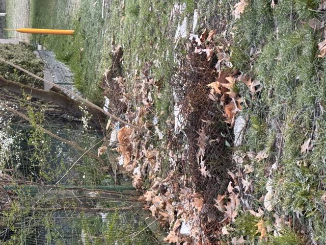 Śmieci przy ogrodkach