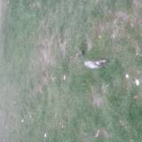 Śmieci I butelki po alkoholu <span class="fix-status status-3">Ukończony</span>