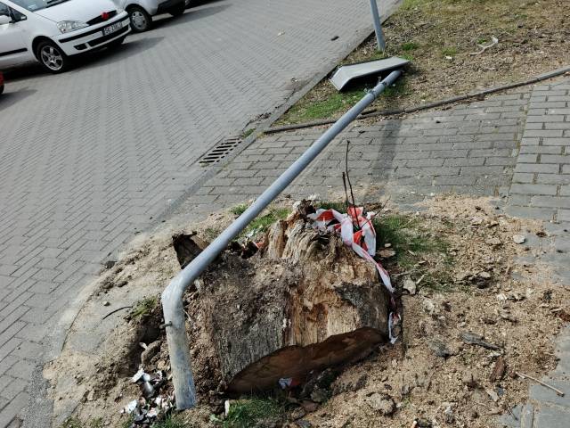 Uszkodzony znak Edukacji 