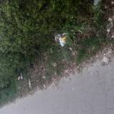 Zarastajacy chodnik<span class="fix-status status-2">Przyjęte</span>