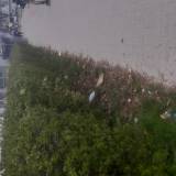 Drenowanie chodnika c.d<span class="fix-status status-2">Przyjęte</span>