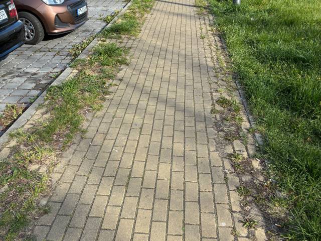 Zarośnięty chodnik przy ul. Kopernika (na odcinku między stacjami Tychy Bielska-Tychy Zachodnie)