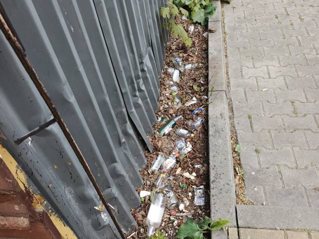 Zalegające śmieci oraz chwasty