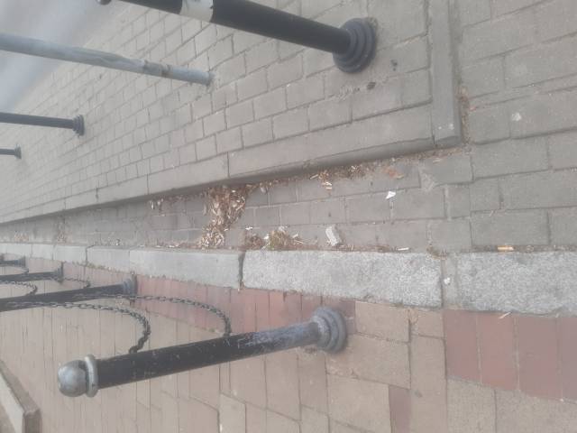 Zanieczyszenie krawężników