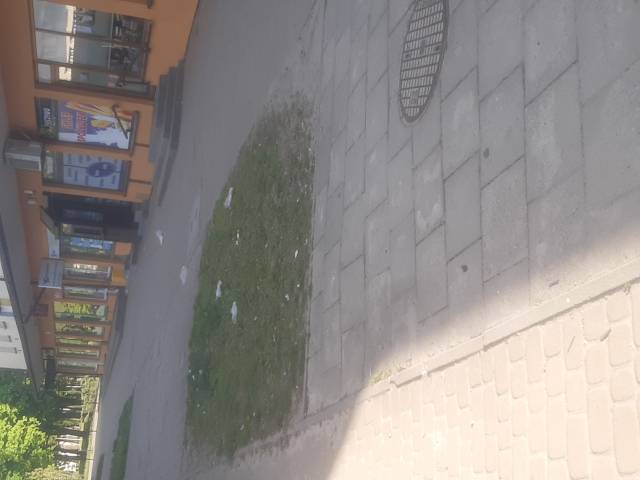 Zalegajace śmieci 