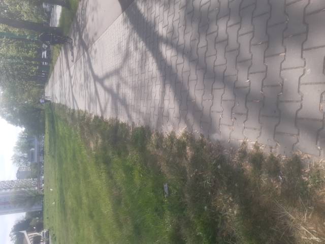 Drenowanie chodnika 