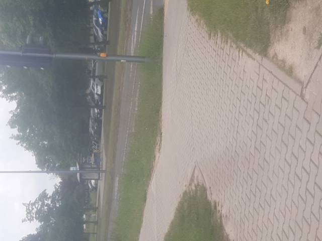 Koszenie trawy