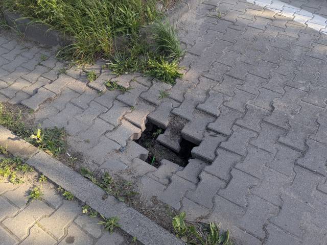 Dziura (zapadnięta kostka) na ul. Tulipanów