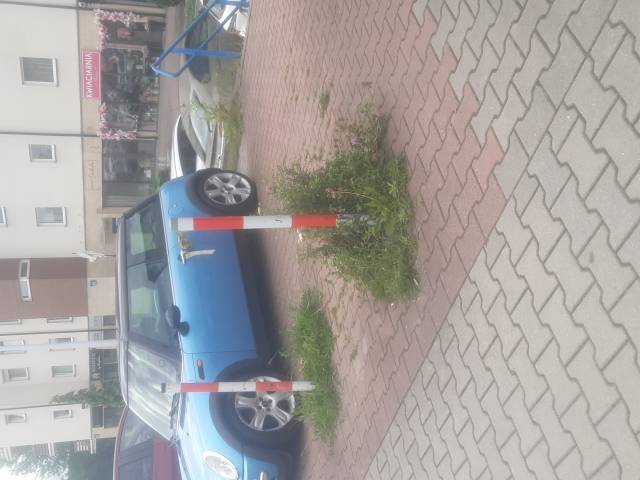 Zarastajace przejscie