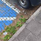 Śmieci na parkingu przy ul. Czystej 31-35<span class="fix-status status-3">Ukończony</span>