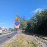 Zamierające drzewo na ul. Mikołowskiej<span class="fix-status status-2">Przyjęte</span>