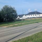 Uschnięte nasadzenie na ulicy Tulipanów <span class="fix-status status-2">Przyjęte</span>