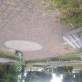 Zarastajacy skwerek Niedzwiadkow<span class="fix-status status-2">Przyjęte</span>