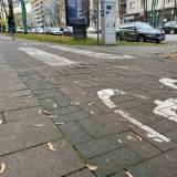 Niebezpieczne wybrzuszenie na drodze dla rowerów przy ulicy Grota Roweckiego. Zgłoszenie z 2023 nadal nie naprawione.<span class="fix-status status-2">Przyjęte</span>