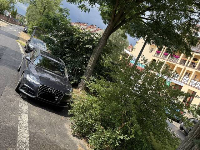 Zarośniety parking przez krzewy na ul. Myśliwskiej przy Kosciele Ducha Świetego