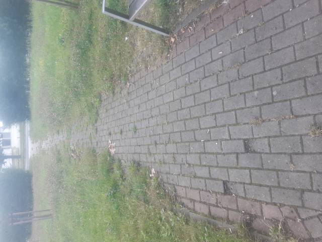 Zarastajace chodniki ponowne zgloszenie