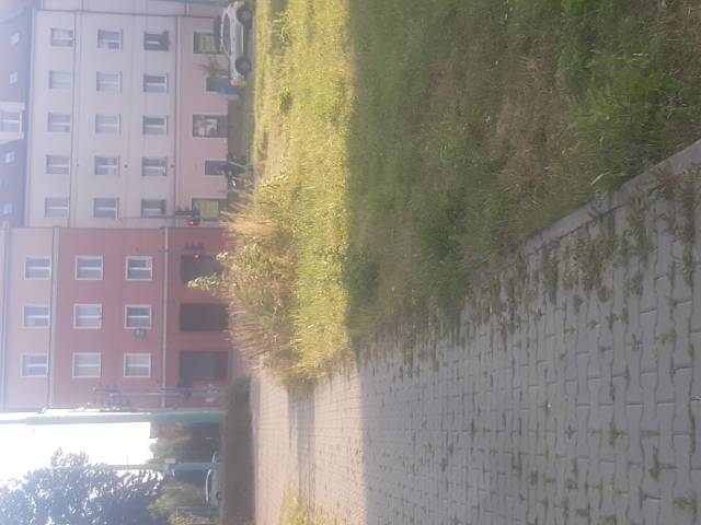 Dokończenie koszenia trawy