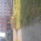 Dokończenie koszenia trawy<span class="fix-status status-6">Poza uprawnieniami</span>