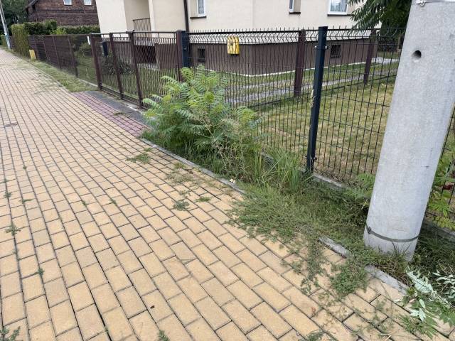 Nienależycie wykonana usługa koszenia trawy