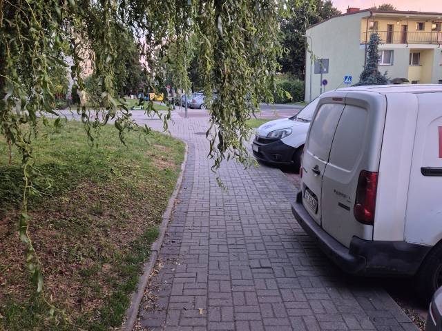 gałęzie nad chodnikiem 