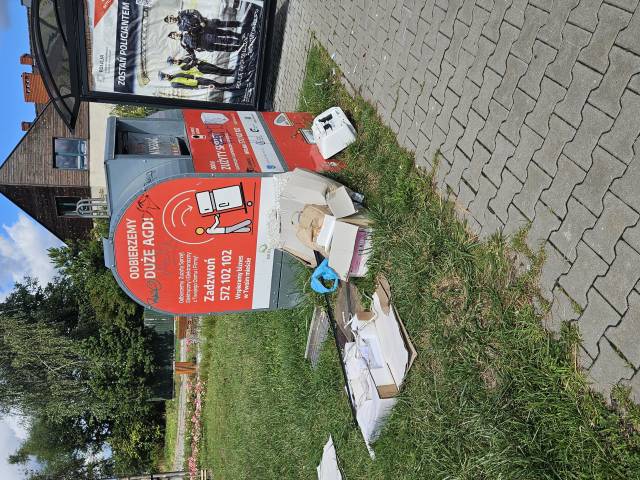 Pozostałości po elektrosmieciach.