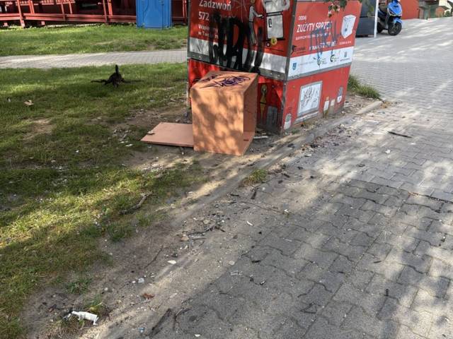 Uprzątnięcie terenu z zalegających śmieci
