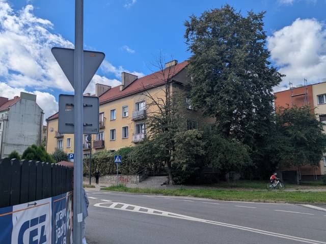 Uschłe drzewo na skrzyżowaniu ulic Bocznej i Bibliotecznej 