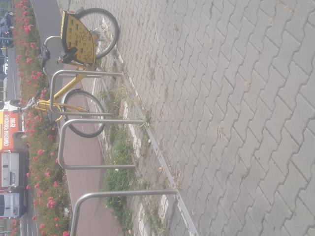 Zarośnięta stacją rowerowa