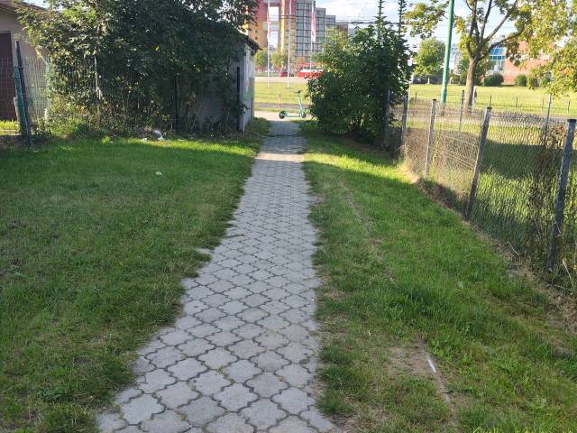 Zarośnięty chodnik