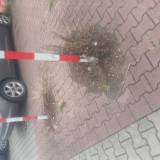 Ususzone chwasty<span class="fix-status status-2">Przyjęte</span>