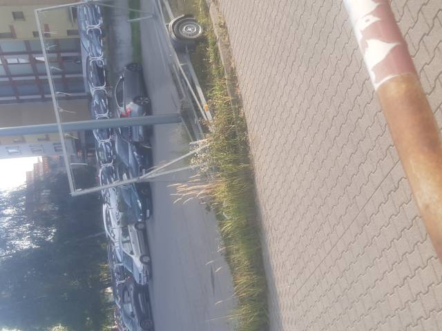 Zarastajacy parking