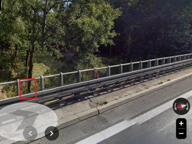 Drzewo nagryzione przez bobry przy DK86/Mleczna