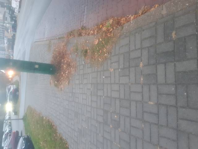 Zarastajacy trawa slup
