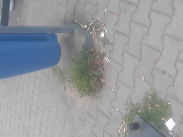 Zarastajacy trawa kosz 